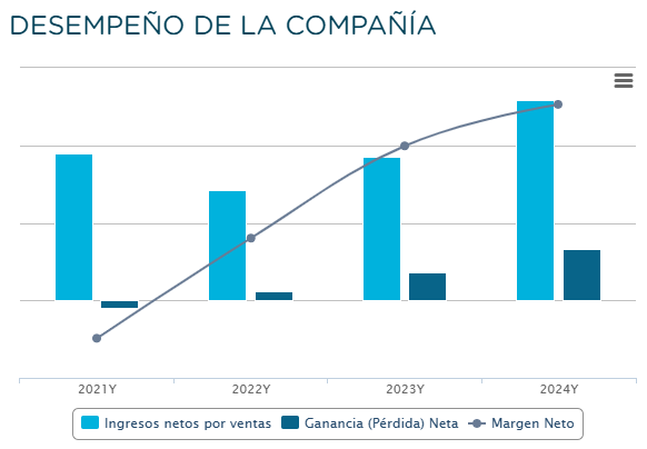 Rendimiento financiero de Controlaudit S.A.